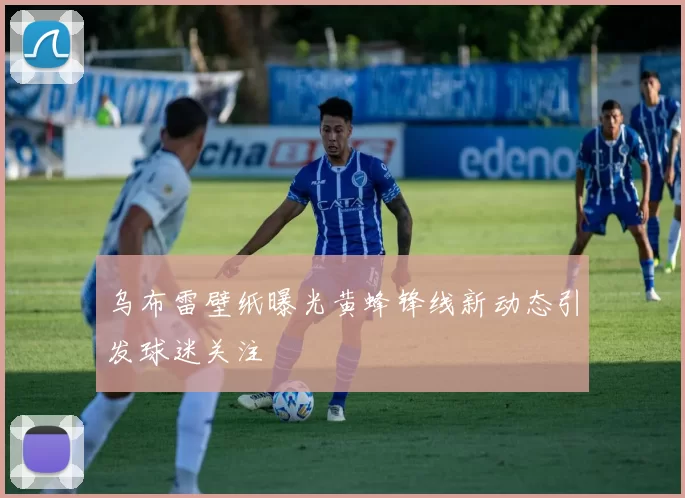 乌布雷壁纸曝光黄蜂锋线新动态引发球迷关注