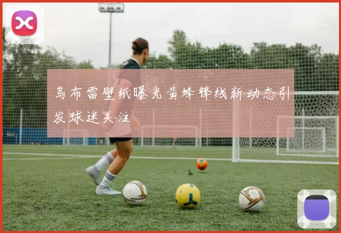 乌布雷壁纸曝光黄蜂锋线新动态引发球迷关注